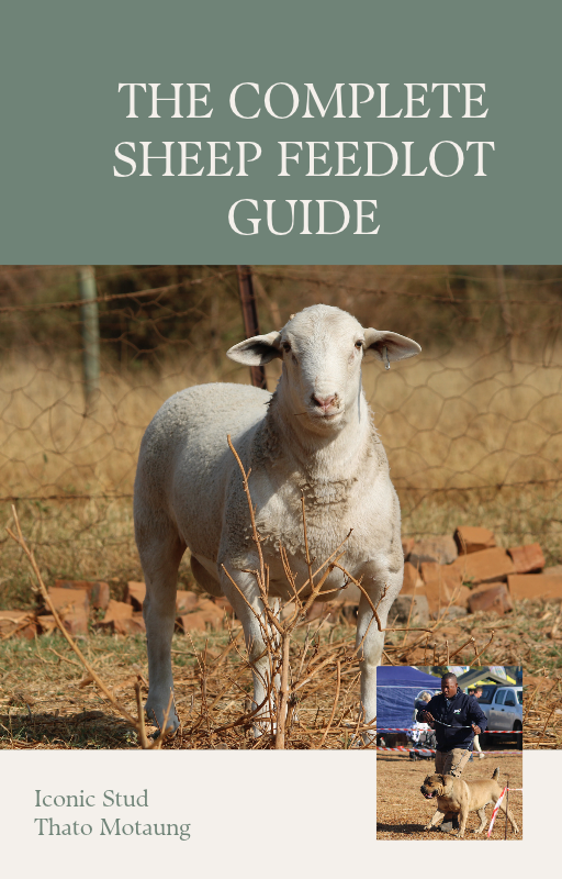 The Complete feedlot guide for Sheep